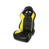 Procar - Evolution Seat, Driver, Vinyl
